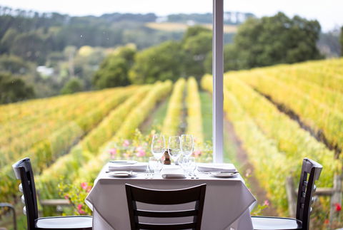 Paringa Estate Winery And Restaurant - Accommodation Sunshine Coast 0