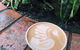 Milk & Froth - Clayfield - thumb 0