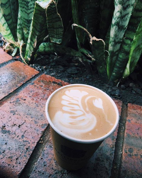 Milk & Froth - Clayfield - Accommodation Sunshine Coast 0