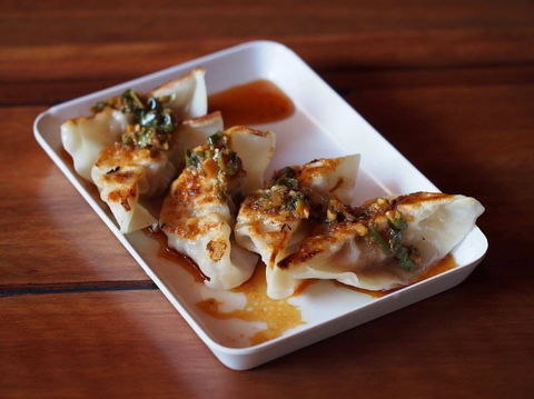 Harajuku Gyoza - Accommodation Sunshine Coast 0