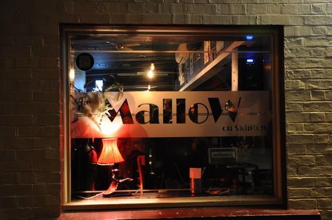 The Mallow Hotel - Accommodation Sunshine Coast 1