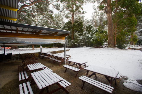 Waterfalls Cafe & Gallery - Accommodation Sunshine Coast 0