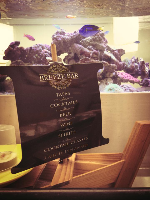 Breeze Bar - Accommodation Sunshine Coast 3