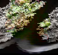 Arthur Waterhouse Lounge - Accommodation Sunshine Coast