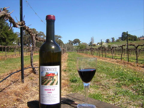 Lockwood Vineyard - Accommodation Sunshine Coast 0