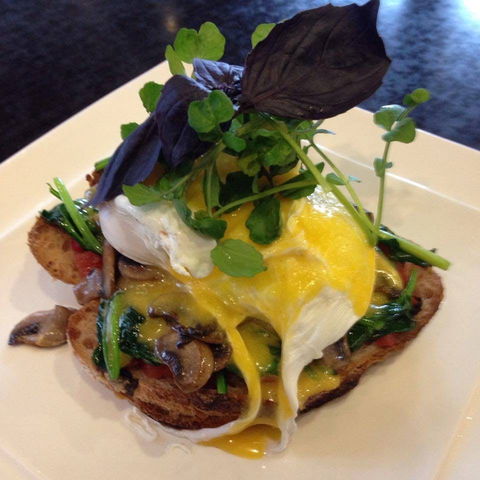Cafe Mosman - Accommodation Sunshine Coast 0