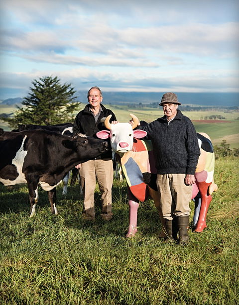 Ashgrove Farm Cheese - Accommodation Sunshine Coast 1