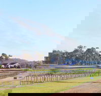 Blacklea Vineyard and Olive Grove - Accommodation Sunshine Coast