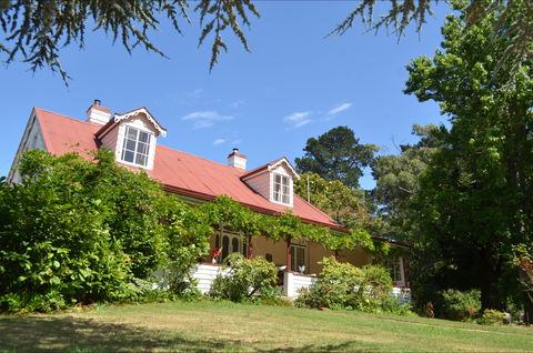 Lazy Teas - Accommodation Sunshine Coast 0