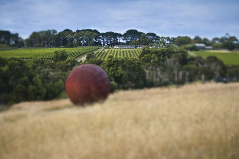 Montalto - Accommodation Sunshine Coast 2