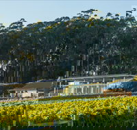 Moores Hill Estate - Accommodation Sunshine Coast