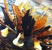 Daily Dose Cafe Wine Bar - Accommodation Sunshine Coast