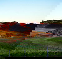 Dalwhinnie Wines - Accommodation Sunshine Coast