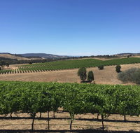 Peerick Vineyard and Winery - Accommodation Sunshine Coast