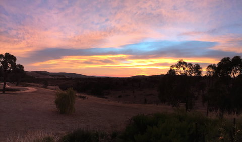 Peerick Vineyard And Winery - Accommodation Sunshine Coast 1