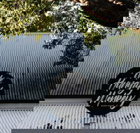 Hungry Monkey - Accommodation Sunshine Coast