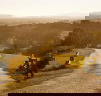 Petersons Wines - Accommodation Sunshine Coast