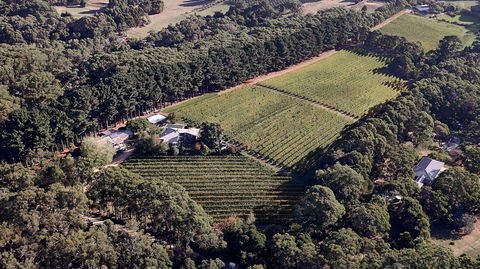 Main Ridge Estate - Accommodation Sunshine Coast 1