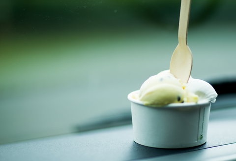 Daintree Ice Cream Company - Accommodation Sunshine Coast 0