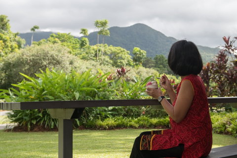 Daintree Ice Cream Company - Accommodation Sunshine Coast 1