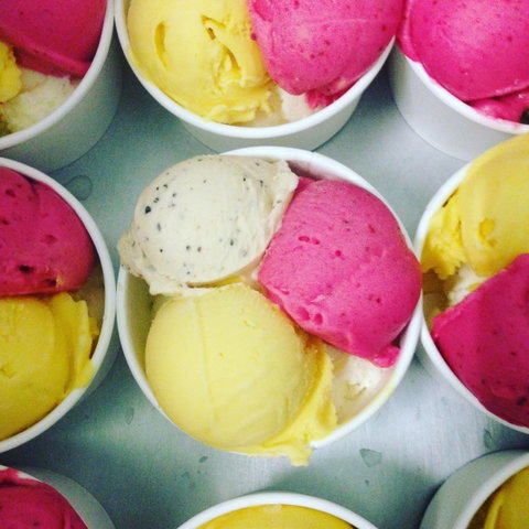 Daintree Ice Cream Company - Accommodation Sunshine Coast 2