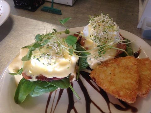 Cafe In The Mountains - Accommodation Sunshine Coast 0