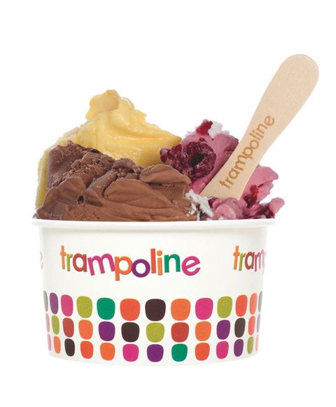 Trampoline Gelato - Doncaster - Accommodation Sunshine Coast 0