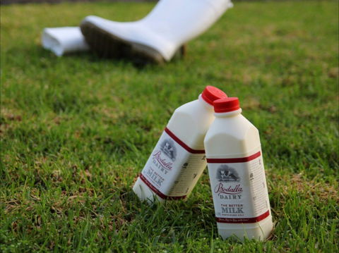 Bodalla Dairy - Cheese, Milk And Ice Cream Factory And Cafe - Accommodation Sunshine Coast 0