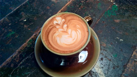 Fox & Rabbit Coffee Co. - Accommodation Sunshine Coast 0