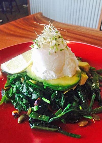 Karma Cafe & Fitness - Accommodation Sunshine Coast 9