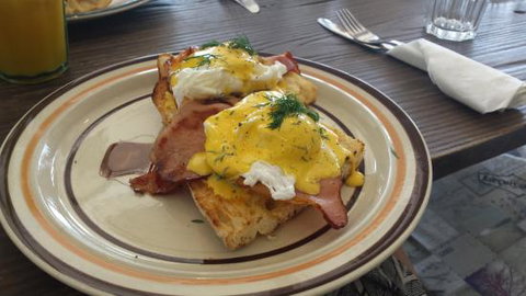 Dear Daisy - Accommodation Sunshine Coast 0