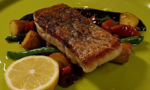 Afghan Marco Polo - Accommodation Sunshine Coast 1