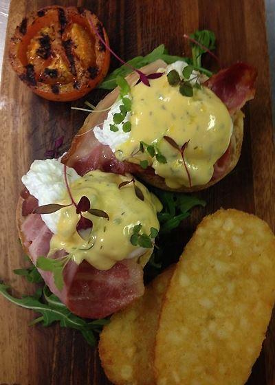 Afghan Marco Polo - Accommodation Sunshine Coast 5