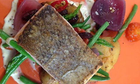 Afghan Marco Polo - Accommodation Sunshine Coast 8