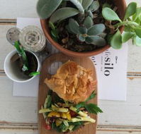 Cafe Silo - Accommodation Sunshine Coast