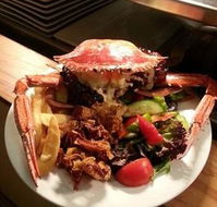 Safari Club Bar  Grill - Accommodation Sunshine Coast