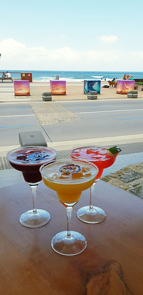 Gringo Loco Cantina - Accommodation Sunshine Coast 4