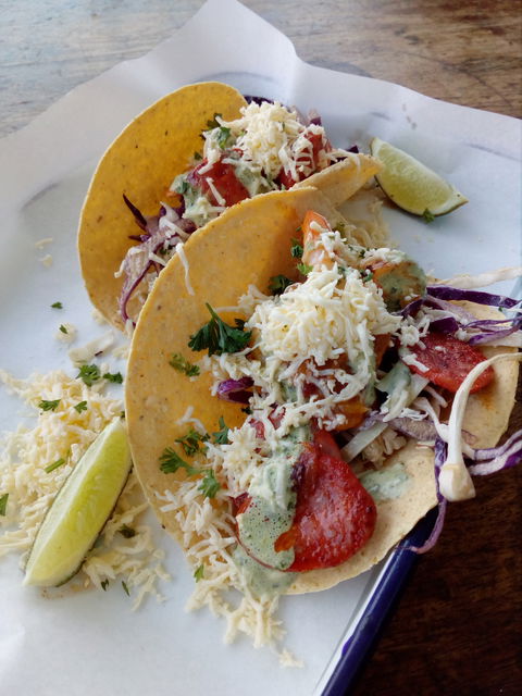 Gringo Loco Cantina - Accommodation Sunshine Coast 6