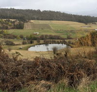 Fat Pig Farm - Accommodation Sunshine Coast