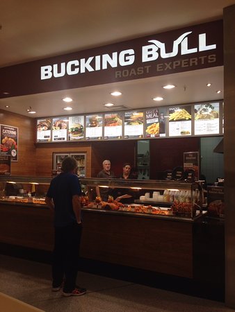 Bucking Bull - Accommodation Sunshine Coast 0