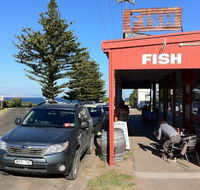 Fish - Accommodation Sunshine Coast