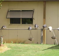 Sandy Grove - Accommodation Sunshine Coast