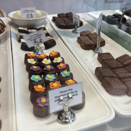 Coffee & Chocolate - Accommodation Sunshine Coast 0