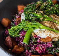 The Hungry Monkey - Accommodation Sunshine Coast