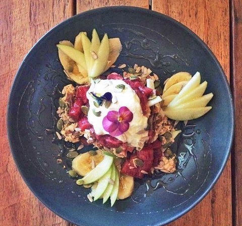 The Hungry Monkey - Accommodation Sunshine Coast 11