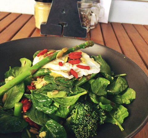 The Hungry Monkey - Accommodation Sunshine Coast 12