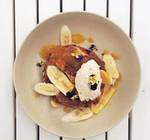 The Hungry Monkey - Accommodation Sunshine Coast 13