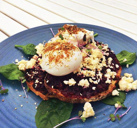 The Hungry Monkey - Accommodation Sunshine Coast 15