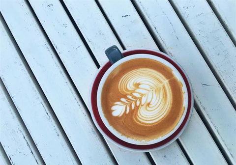 The Hungry Monkey - Accommodation Sunshine Coast 16