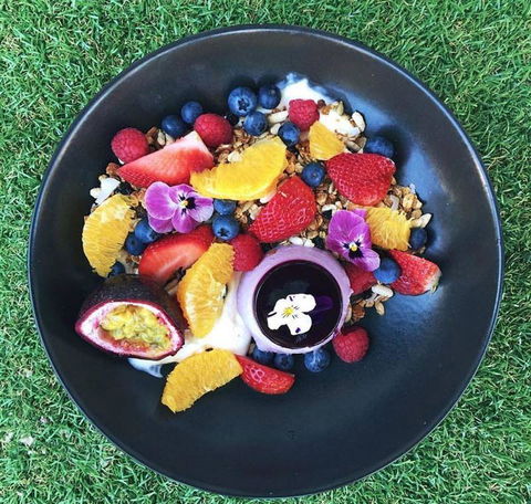 The Hungry Monkey - Accommodation Sunshine Coast 17